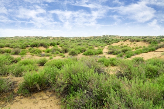 ���Ʋ��ġ�RankBet(�й�)���޹�˾����