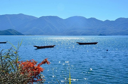 ���Ʋ��ġ�RankBet(�й�)���޹�˾����