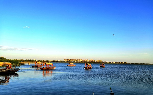 ���Ʋ��ġ�RankBet(�й�)���޹�˾����